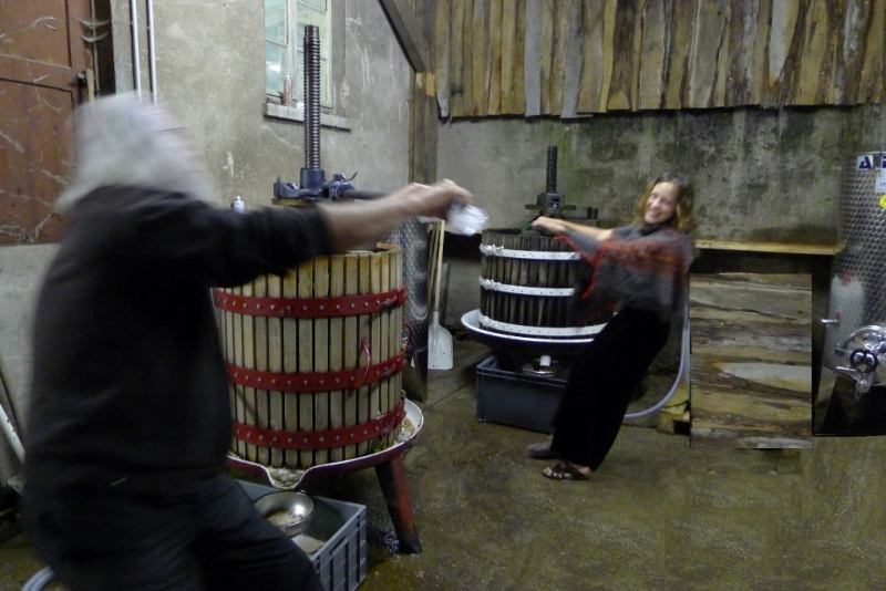 La vinification au domaine Clé de Sol-Vinibee