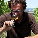 Vincent Alexis - Château Barouillet - Vinibee