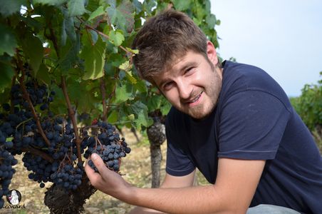Fabien Jouves, vigneron - Vinibee