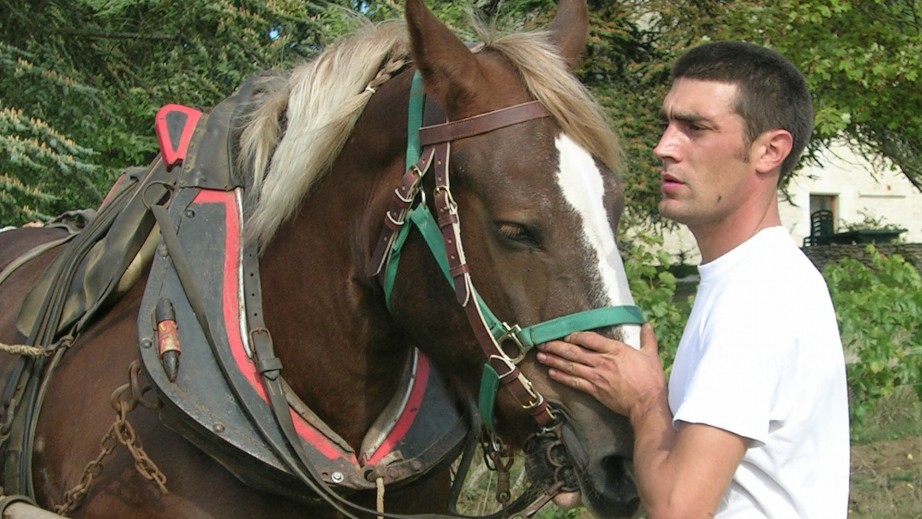 Antoine Foucault - Domaine du Collier