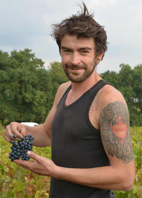 Partez à la rencontre de Sylvère Trichard, vigneron naturel en Beaujolais - portrait vigneron - Vinibee