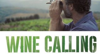Coffret Wine Calling - Vinibee