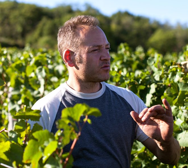 Julien Guillot - Domaine des Vignes du Maynes - Vinibee