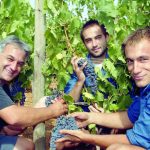 Antoine Arena - Domaine Arena - Patrimonio - Vinibee