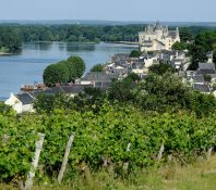 coffret vin de loire - vin naturel - vinibee la Loire - Vinibee