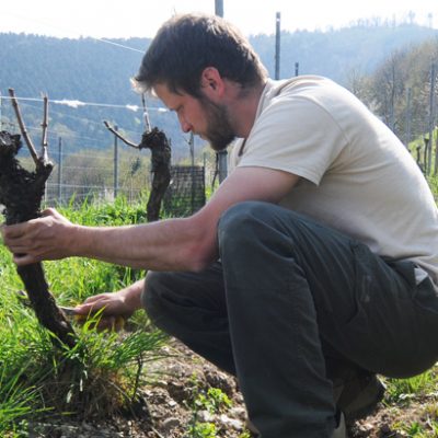 Domaine Kreydenweiss - Antoine et Marc Kreydenweiss - Alsace - vin biodynamique - Vinibee
