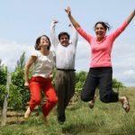 Domaine d'Aurensan - Armagnac Ténarèze - Triple Zéro - Vinibee