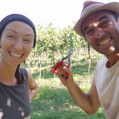 Il Monte Caro - marcolini - valpolicella - vin naturel - vin italien - vinibee