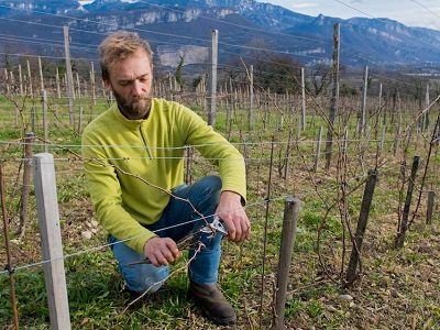 domaine des Alpins - Sébastien Benard - vin naturel - isere - Vinibee