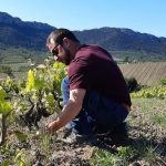 Domaine Benastra - Joseph Paille - vin bio - roussillon - vinibee