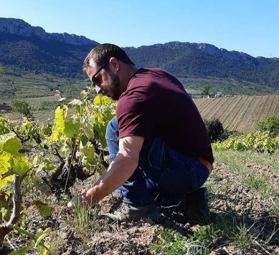 Domaine Benastra - Joseph Paille - vin bio - roussillon - vinibee