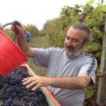 Azienda Vitivinicola Silvio Morando - Barbera del Montferrato - vin naturel - Piemont - vinibee