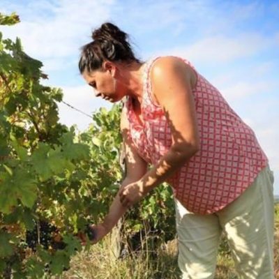 Muriel Zoldan - domaine Antocyâme - côteaux et terrasses de Montauban - vins naturels - vinibee
