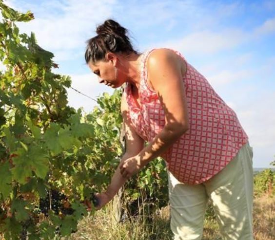 Muriel Zoldan - domaine Antocyâme - côteaux et terrasses de Montauban - vins naturels - vinibee