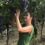 Monte Dall Ora - Carlo et Alessandra venturini - valpolicella - vinibee