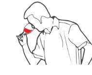 Dégustation du vin le nez