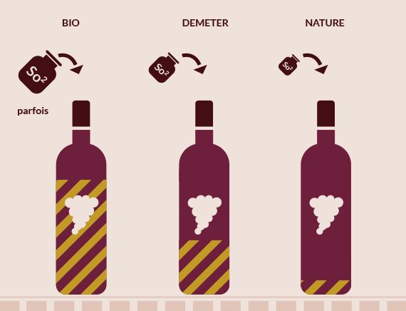 Guide des sulfites dans le vin
