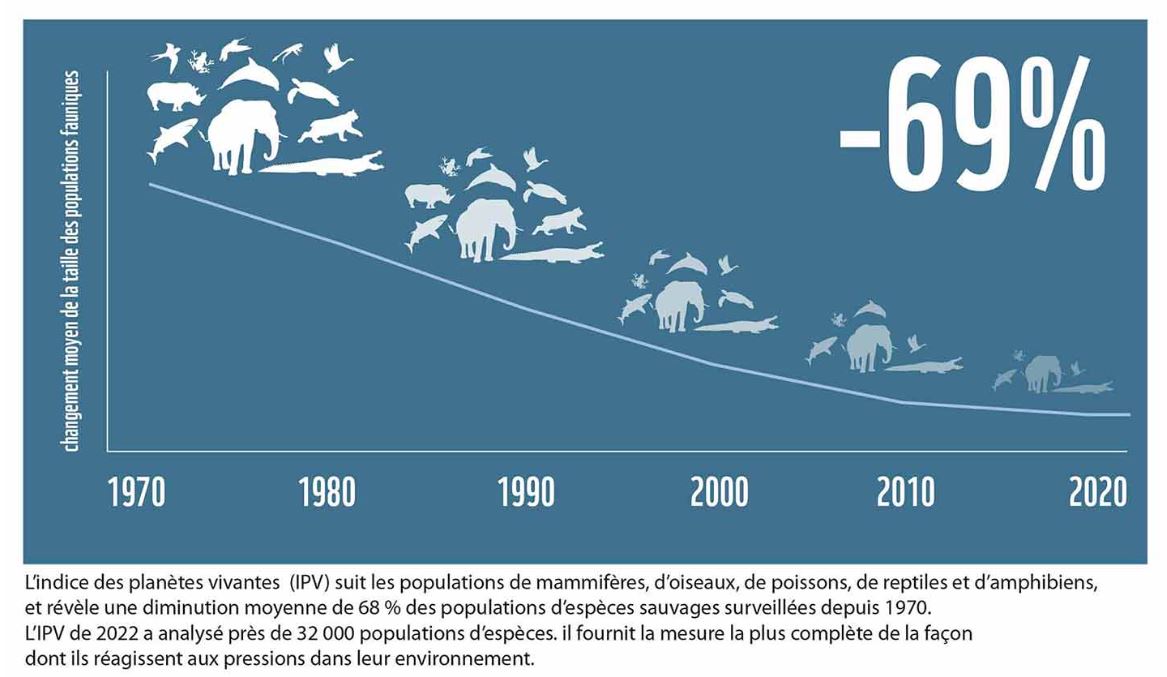 Indice planete vivante WWF