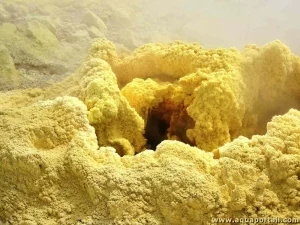 Le soufre dans le vin