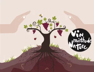guide des vins naturels