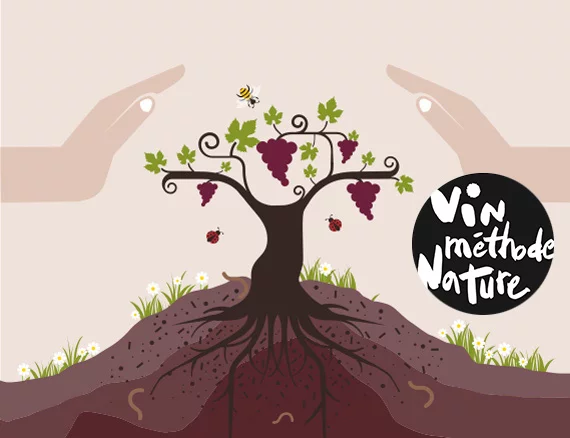 guide des vins naturels