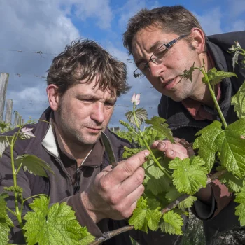 Domaine du mortier Fabien et Cyril Boisard