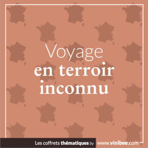 coffret vins Voyage en Terroir Inconnu - Vinibee