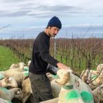 Sebastien Fezas Gers vin naturel