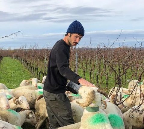 Sebastien Fezas Gers vin naturel