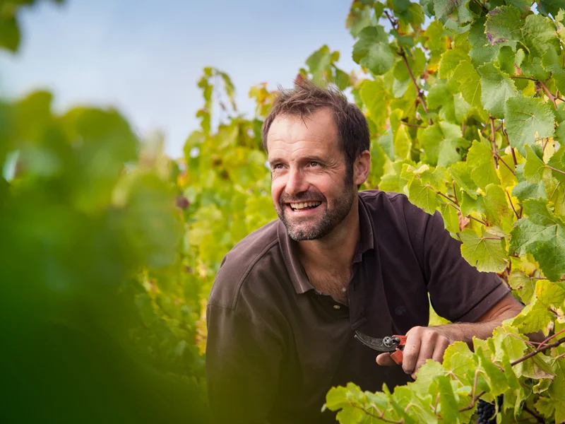 domaine eric chevalier vin bio