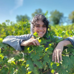 Clos Rocailleux Gaillac