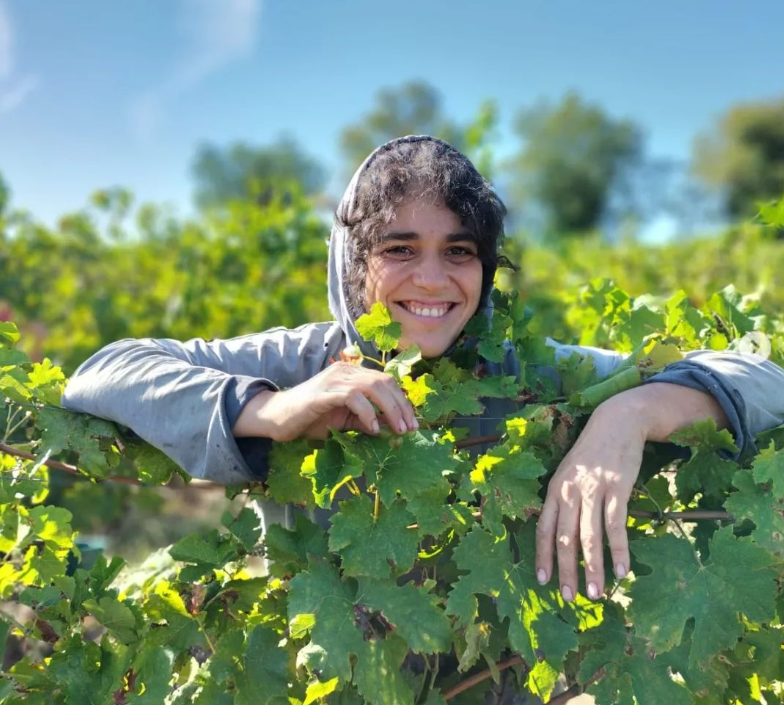 Clos Rocailleux Gaillac