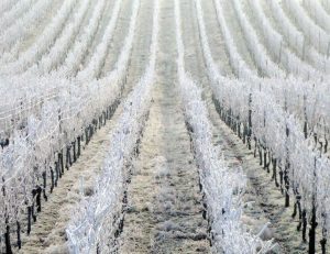 La caisse qui cartonne en janvier