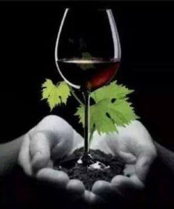 Voeux 2021 - coffret e-learning - vinibee