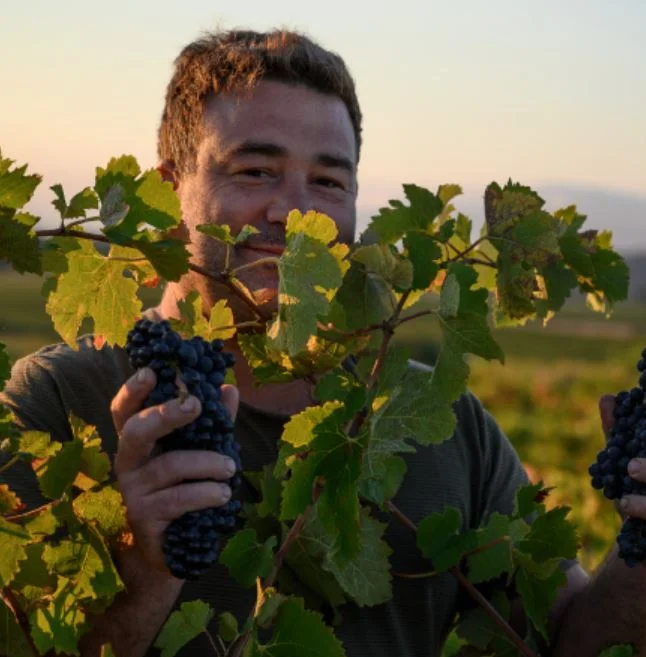 Domaine Taillandier Benjamin Taillandier Minervois