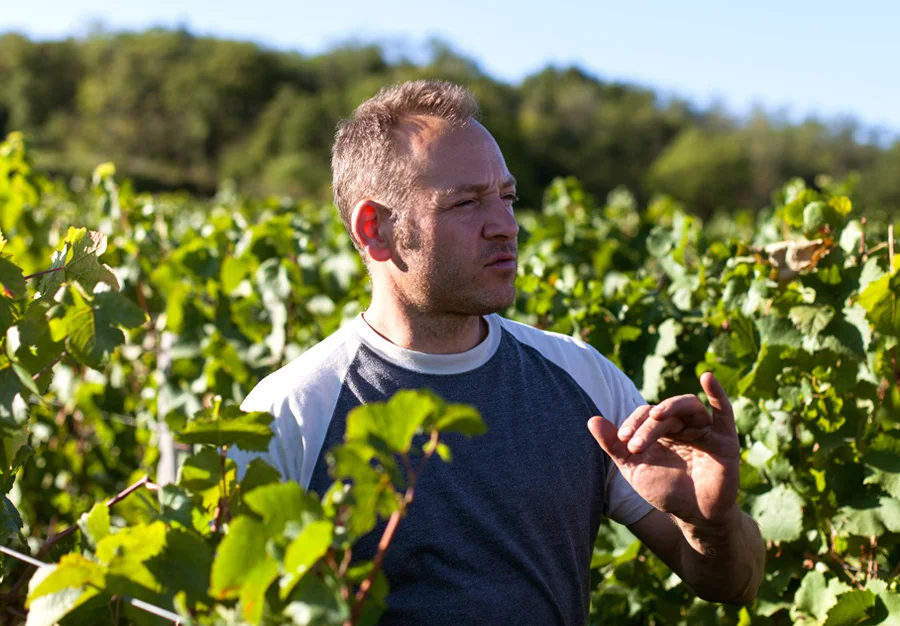 Julien Guillot Clos des Vignes du Maynes