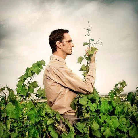 Domaine Philippe Gilbert Menetou Salon