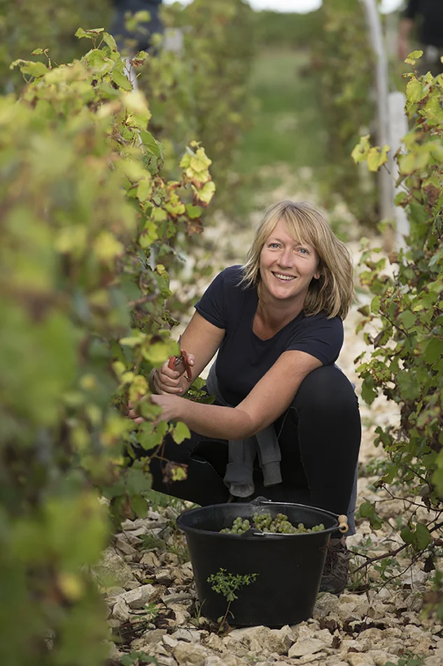 chateau de beru chablis