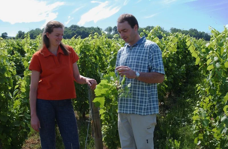 domaine tripoz vins biodynamiques