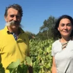 domaine landron jo landron muscadet