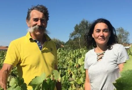 domaine landron jo landron muscadet