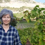 domaine giudicelli corse patrimonio