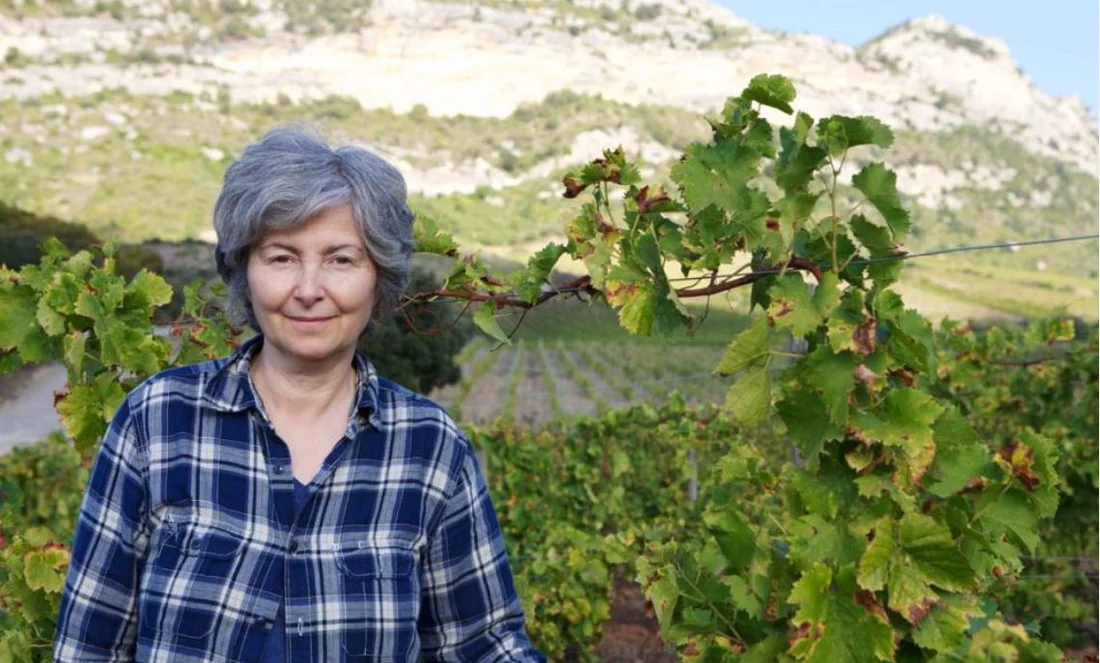 domaine giudicelli corse patrimonio