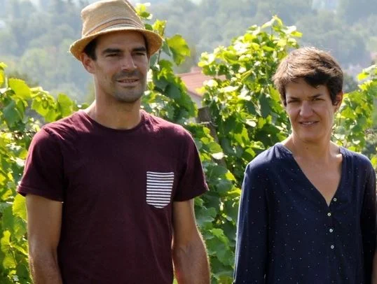 verdier logel cotes du forez