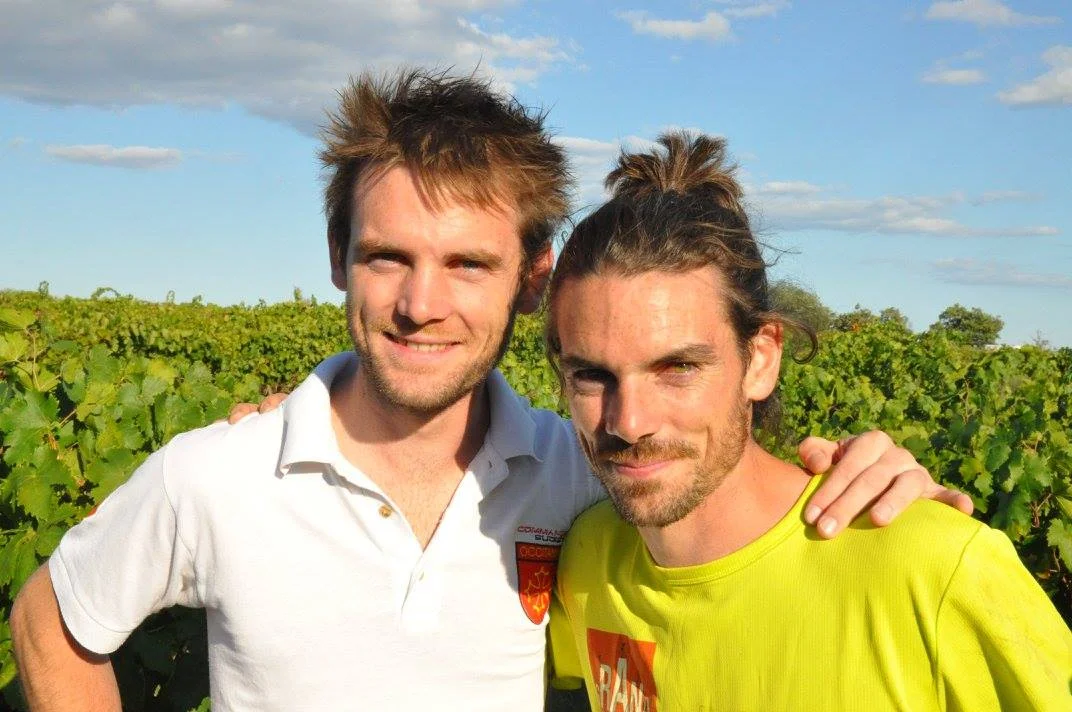 domaine des amiel languedoc