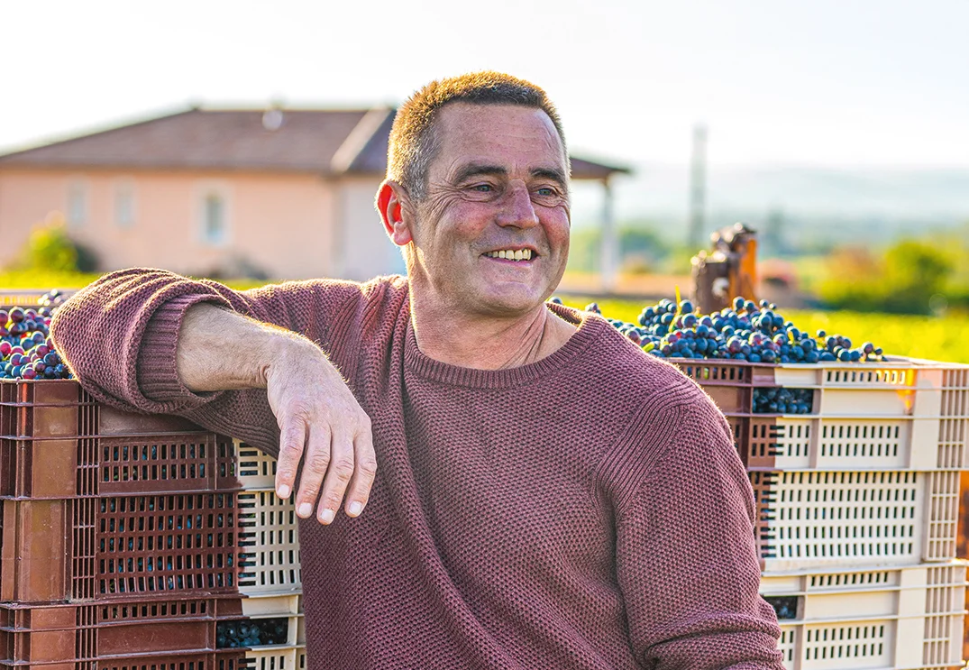 Lapalu Beaujolais Brouilly