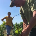 domaine de moor chablis