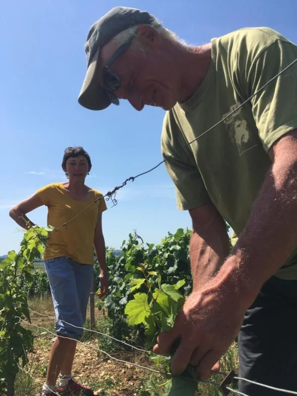 domaine de moor chablis