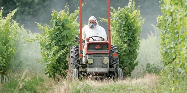pesticides dans les vignes