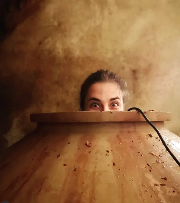 Vignoble du Rêveur Alsace